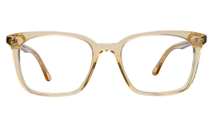 Portland Optical